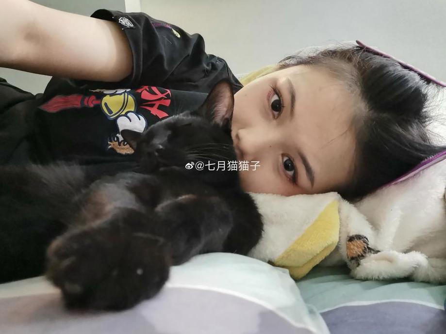 不要错过！七月猫猫子的两张美丽图图片集火热预售中