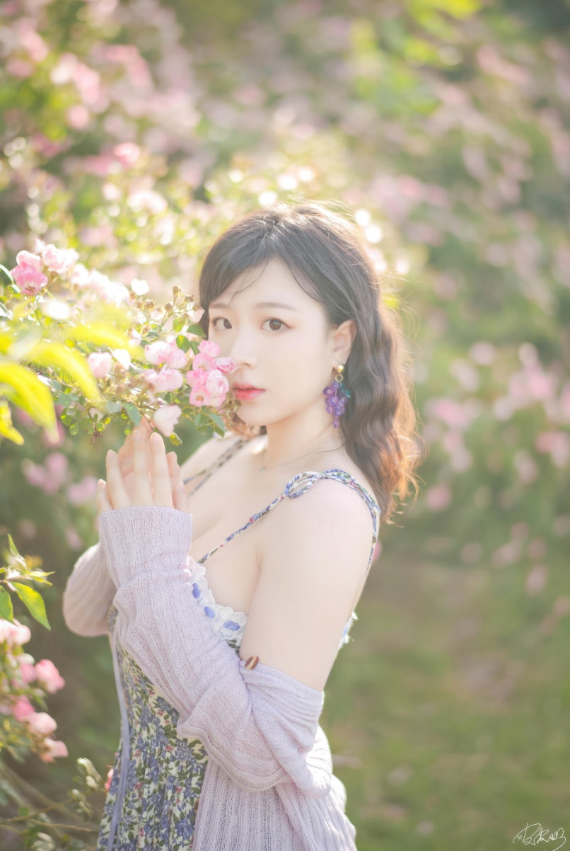 皮皮奶可可爱了啦-蔷薇花一起来欣赏吧！